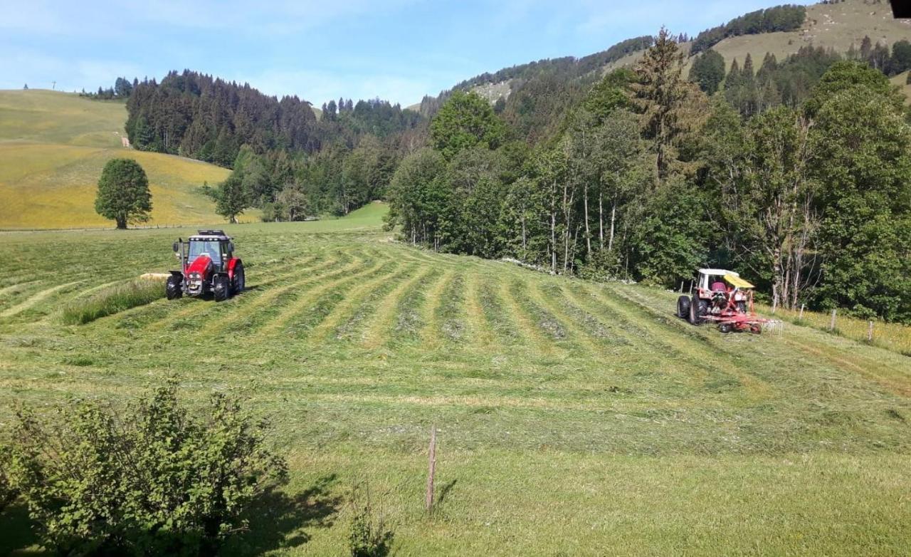 Ferienwohnungen Foidlhof Hochfilzen Exterior foto